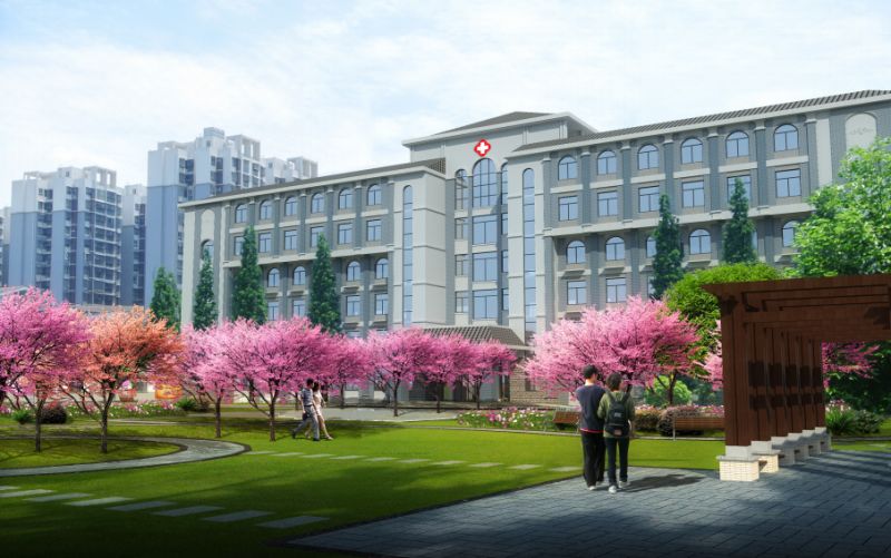 民生实事医疗卫生项目,民生实事巡礼