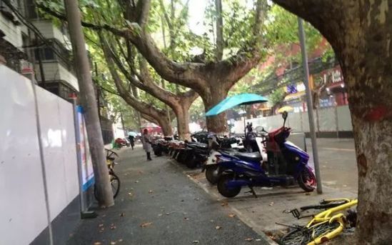 城管占道经营商户不服气,向城管投诉占道经营不作为