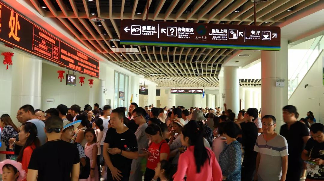 人从众的模式,人从众