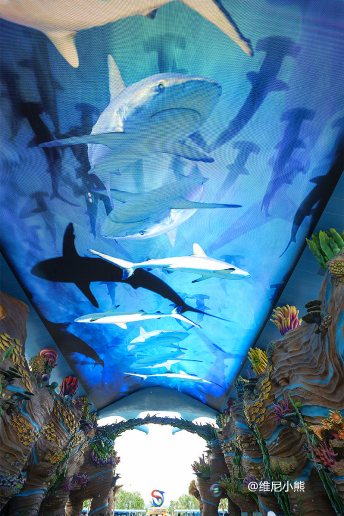 暑假珠海长隆最全游玩攻略,珠海长隆海洋王国暑假门票多少钱