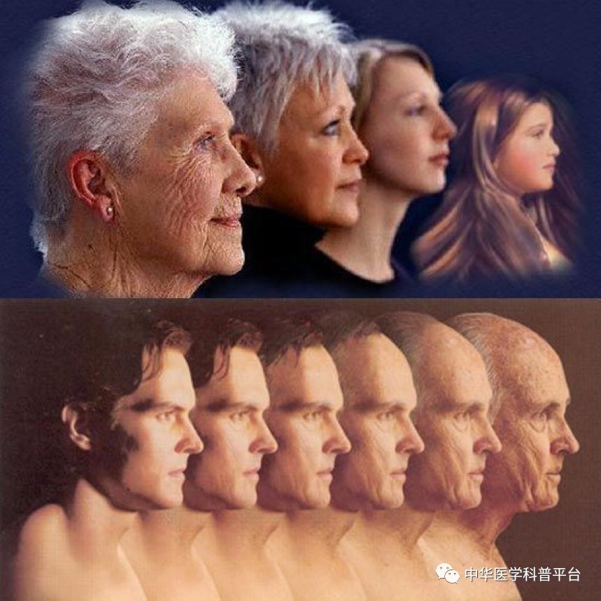 美容整形怎么将脸变小,整形脸为什么会变僵