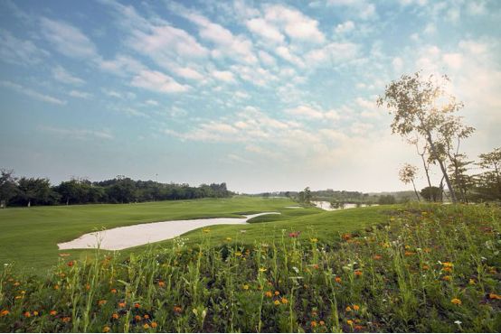 肇庆省运,肇庆新开的综合体育馆