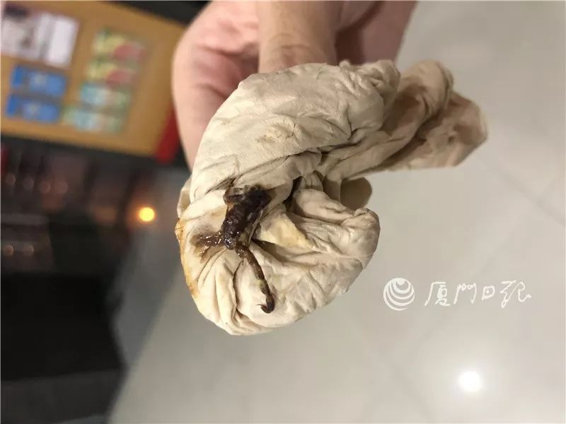 吓晕！厦门一女子吃山竹被毒虫蜇了！专家：是只“纳凉”的蝎子