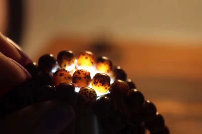 玉化奶奶灰果冻星月菩提,玉化果冻星月菩提是天然的么