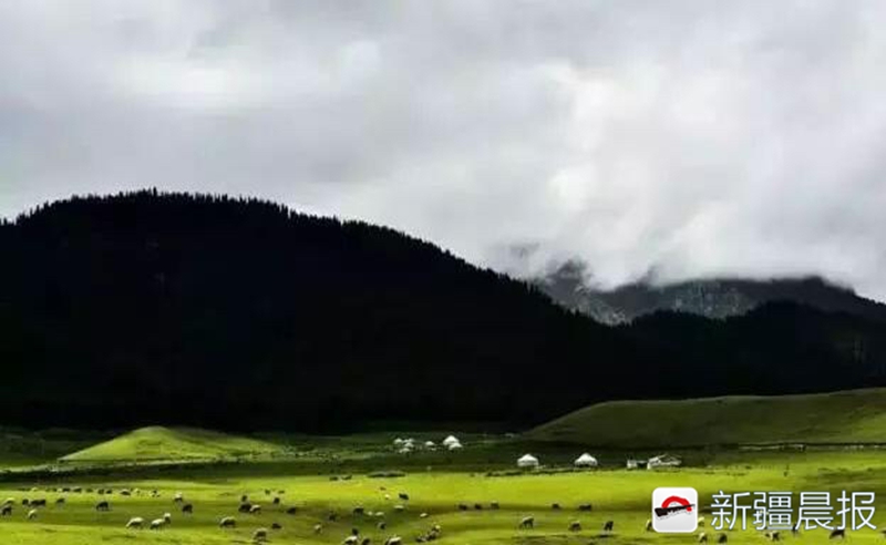 沙湾鹿角湾攻略,沙湾都有啥美景