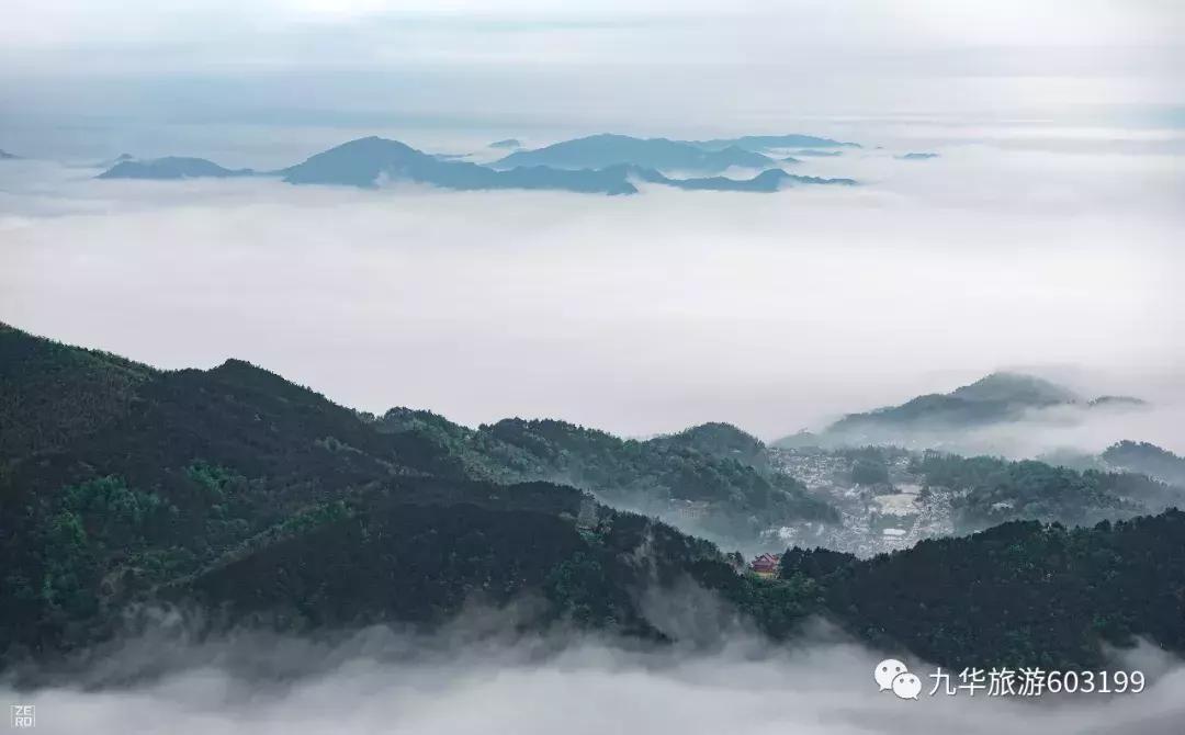 我被录取了,我被录取了图片