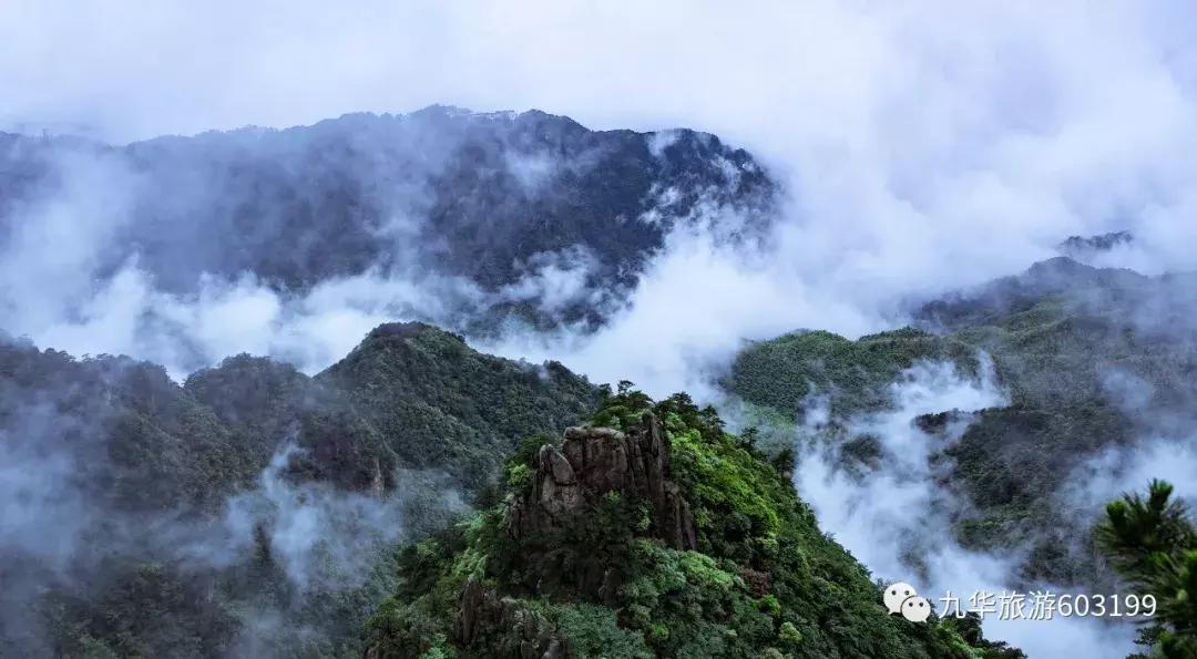 我被录取了,我被录取了图片