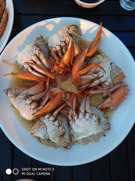 嵊泗三天两夜出游攻略,嵊泗本岛花鸟岛三天两夜攻略