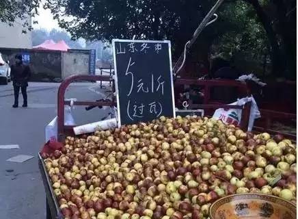 遂宁文化介绍,遂宁的人文历史