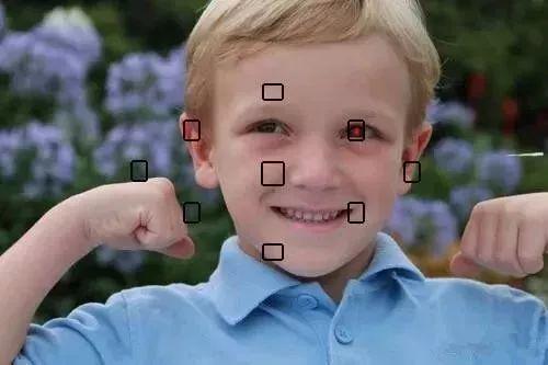 怎样对焦最清晰,怎样正确对焦和曝光