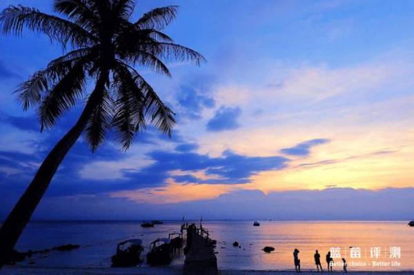 蓝莓评测美国蓝莓,蓝莓评测