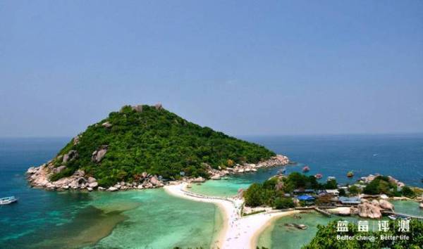 蓝莓评测美国蓝莓,蓝莓评测