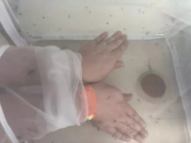 驱蚊水是农药有毒？驱蚊产品越贵越好？看看这篇评测你就明白了