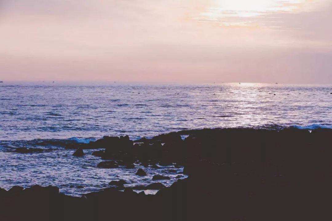 济州岛出游攻略视频大全,济州岛旅行避坑攻略最新