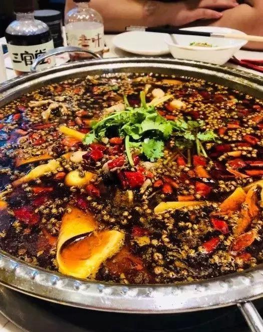 据说科华路的温度全成都最高！因为……