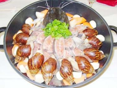 前些天下雨后在广场捡了一只大蜗牛,它属于哪种?名称求教,谢谢