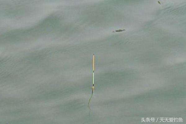 浮漂非常缓慢下沉要不要扬竿,浮漂移动什么样才叫扬竿