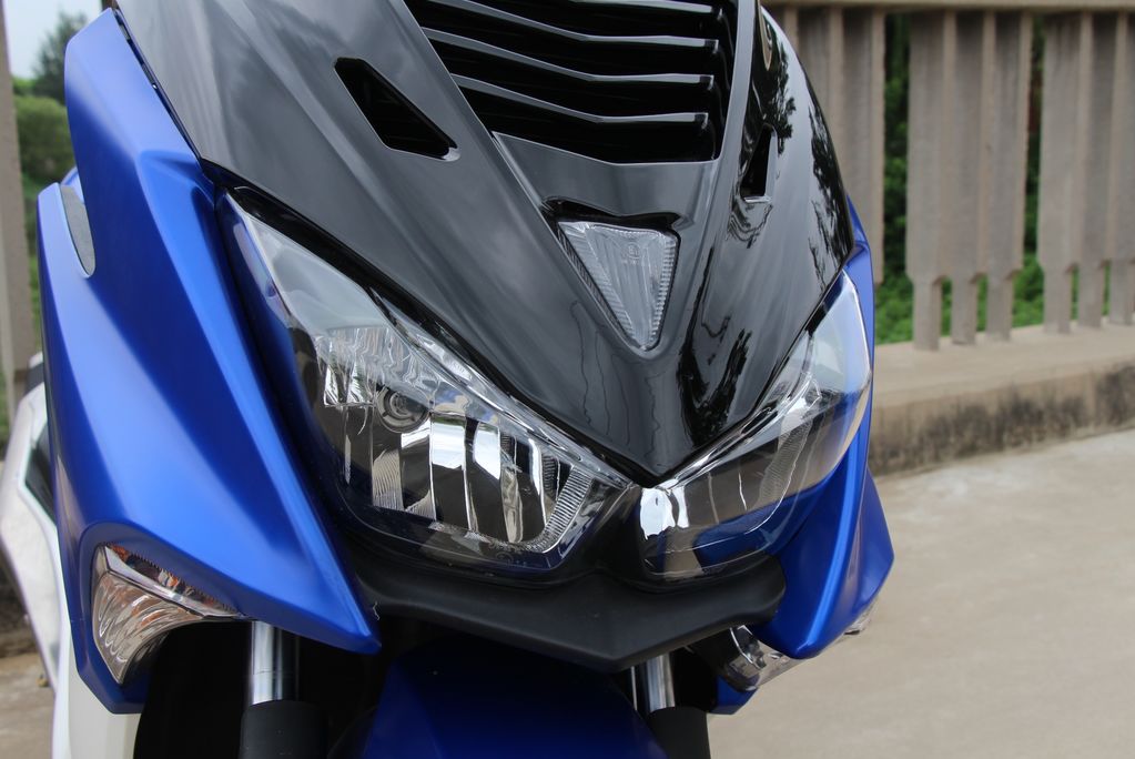 高颜值蚂蚱,漂亮巨型蚂蚱