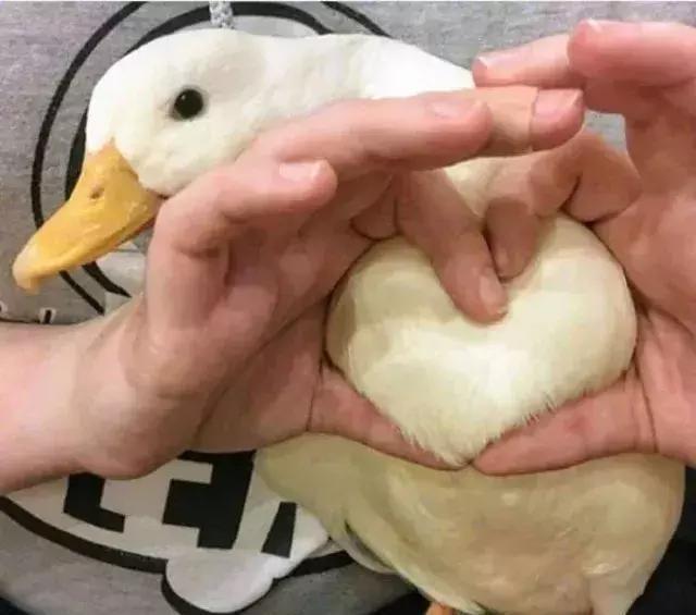 sk-ii小灯泡美白精华适合什么皮肤,skii小灯泡美白精华使用感受