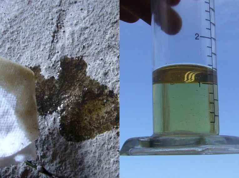 车底漏防冻液图片,车底盘漏液体是怎么回事