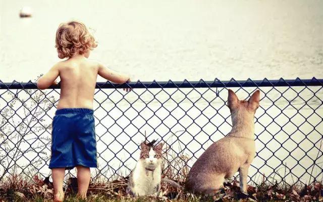 意大利/台湾参展品牌预览｜CIPS上的意式风情和台式浪漫