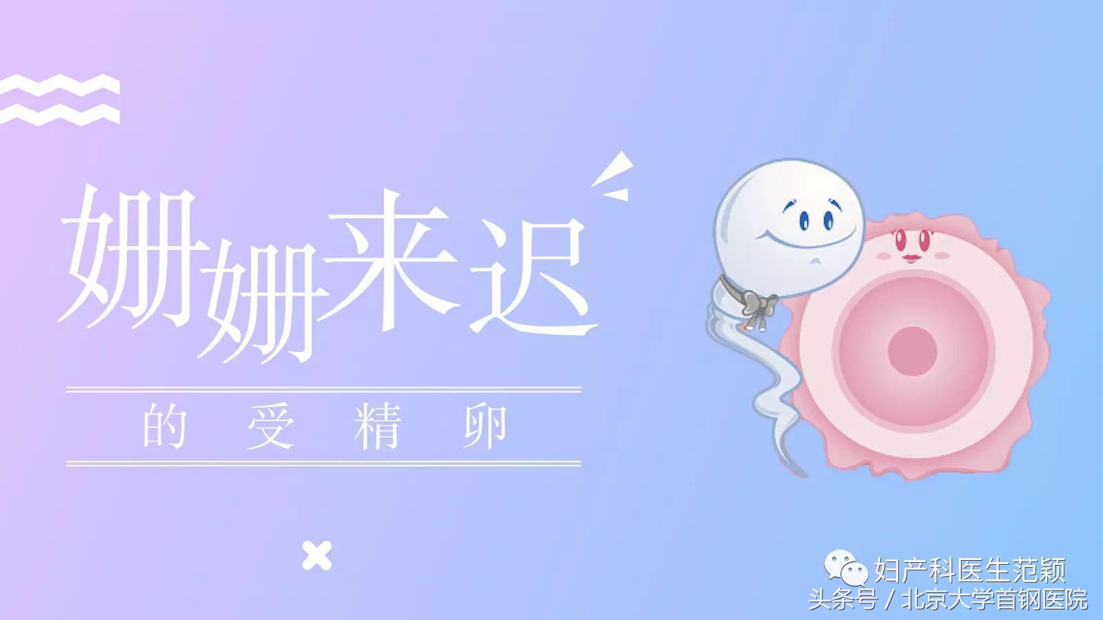 迟迟不来定居点儿的受精卵酿大祸——宫外孕病因篇