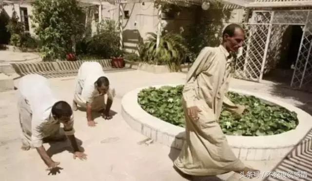 “*亲近**繁衍”会怎样？土耳其这家人来告诉你