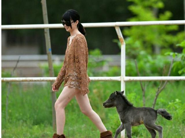 德云社最有钱富二代,德云社最有钱的人排行榜