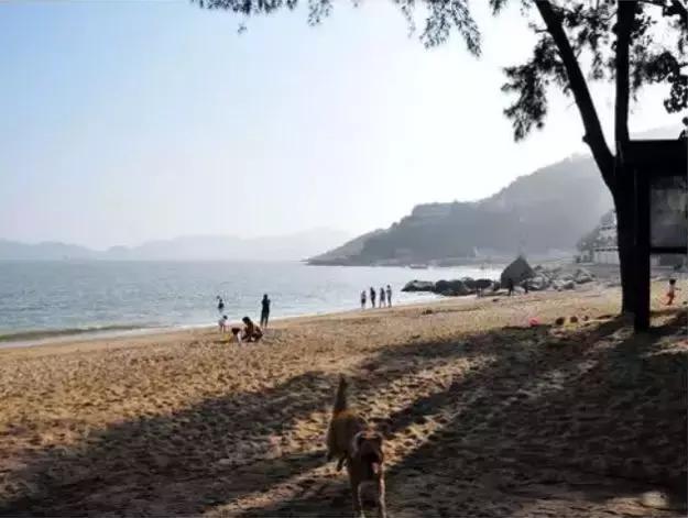 除了澳门还有哪里可以玩,澳门黑沙海滩位置在哪里