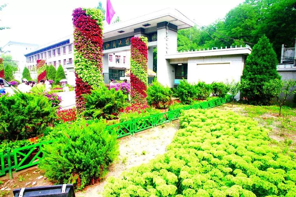 老照片北京奥运会,奥运十年中国十年