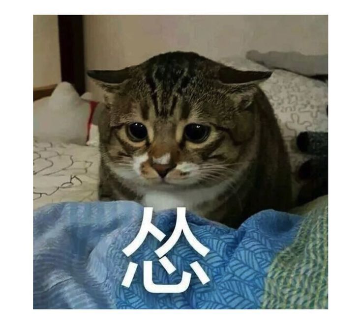 空调应该怎么用才省电,空调如何使用才更省电