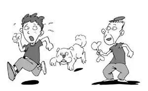 流浪狗伤人报警后怎么处理,流浪狗想咬人被打了违法吗