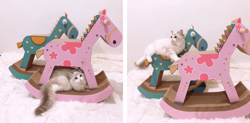 新手铲屎官如何讨好猫咪,铲屎官怎么讨猫咪喜欢