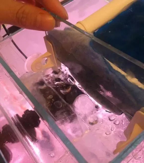 冲动购物一时爽,冲动购物的感悟