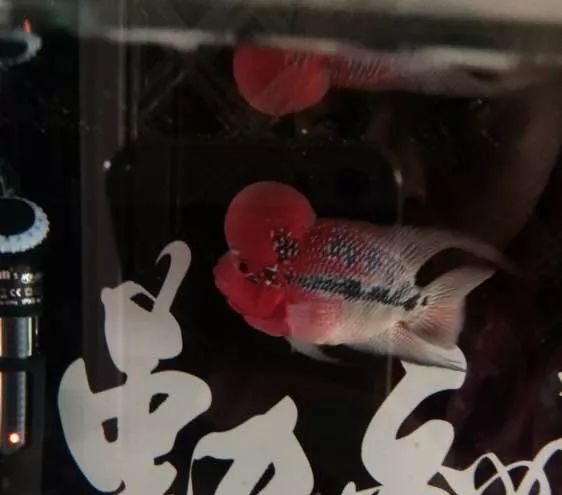 冲动购物一时爽,冲动购物的感悟