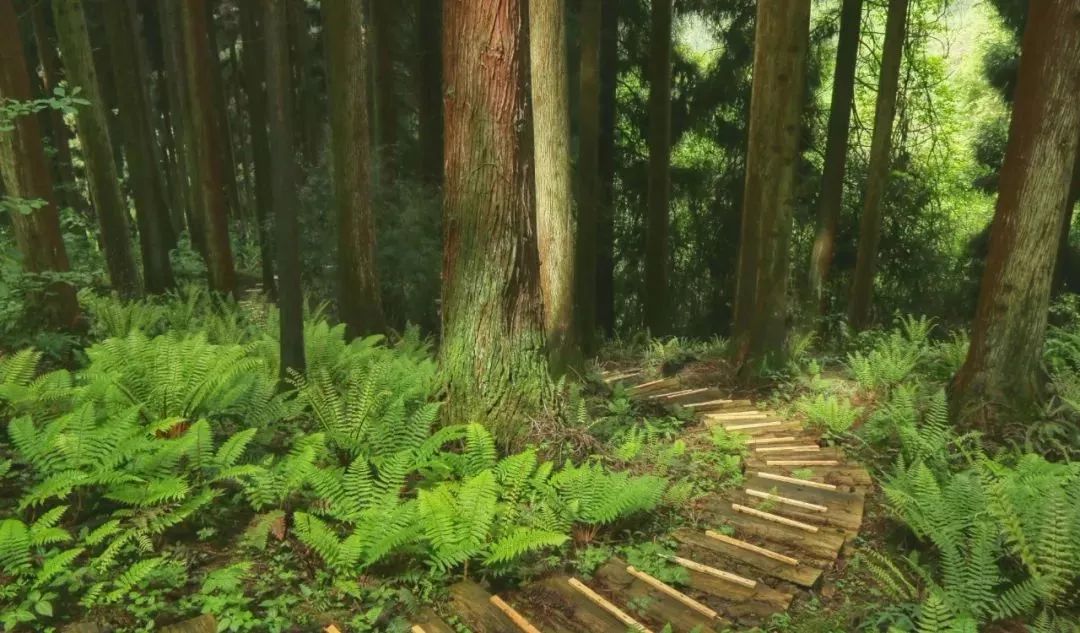 德阳周边玩水避暑民宿,德阳附近哪里有凉快又好玩的地方