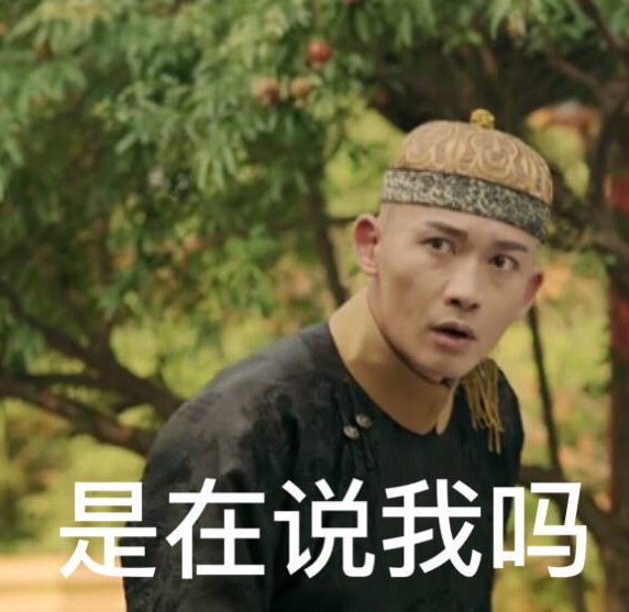 剧红人不红的演员,聂远选秀毒舌