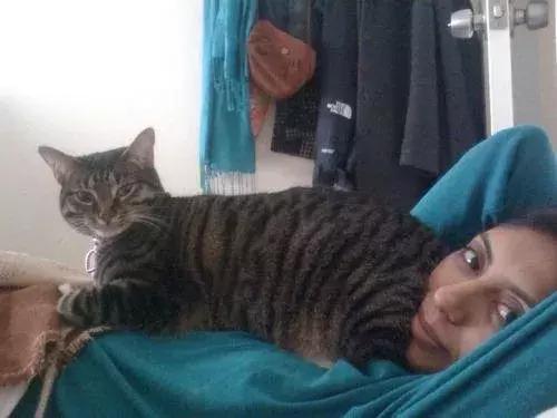 你享受过免费叫醒服务吗,你享受过免费的叫醒服务吗