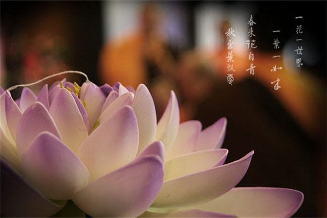 星云大师受用一生的十句话,星云大师菜根谭经典名句