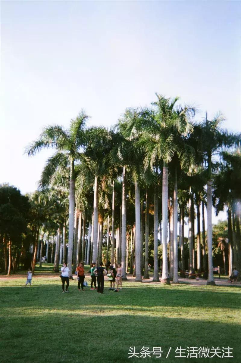 拍照圣地深圳风景,超小众拍照圣地深圳