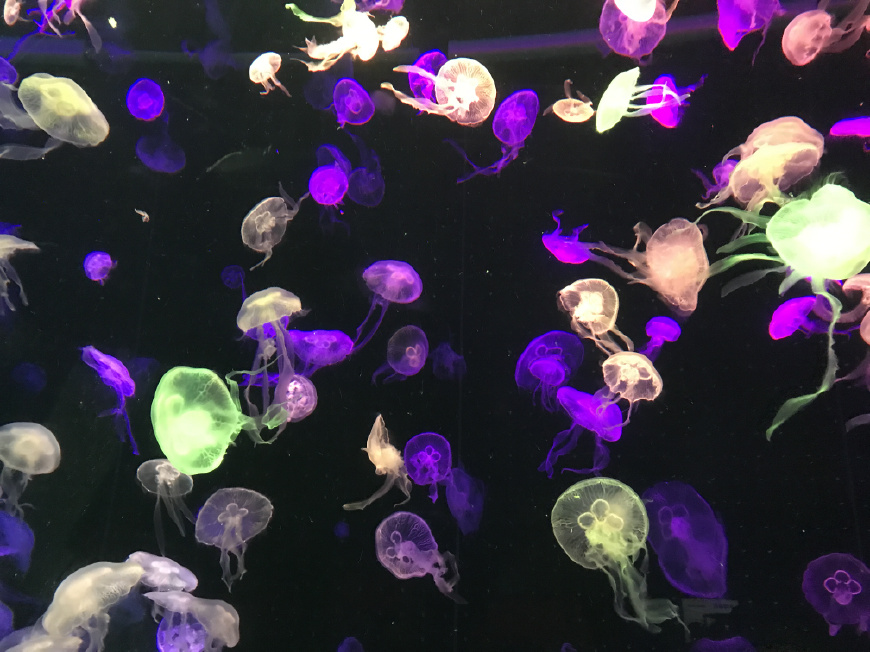 这个夏天带上ta来场浪漫的旅行,带上心爱的ta来一次浪漫之旅