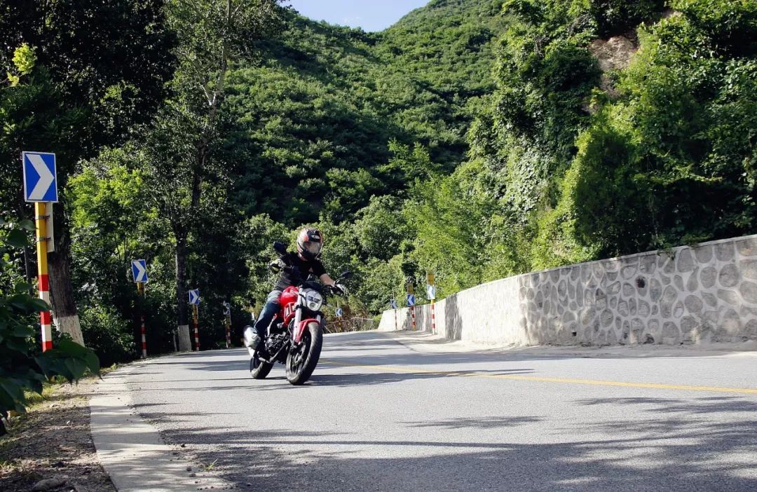 小怪兽长成了大怪兽,银钢大怪兽250测评