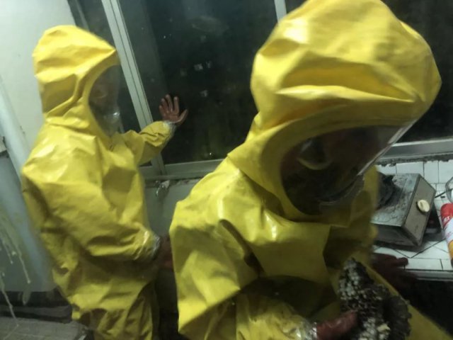 清理马蜂窝村民被蛰,打扫卫生习水