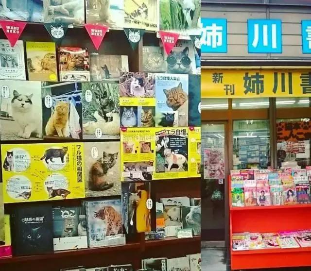 世界第一城东京,世界第一大城东京