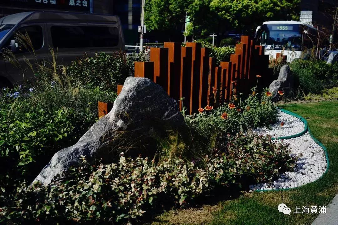 臭水浜变成了林荫道,《从臭水浜到林荫道》小学课文