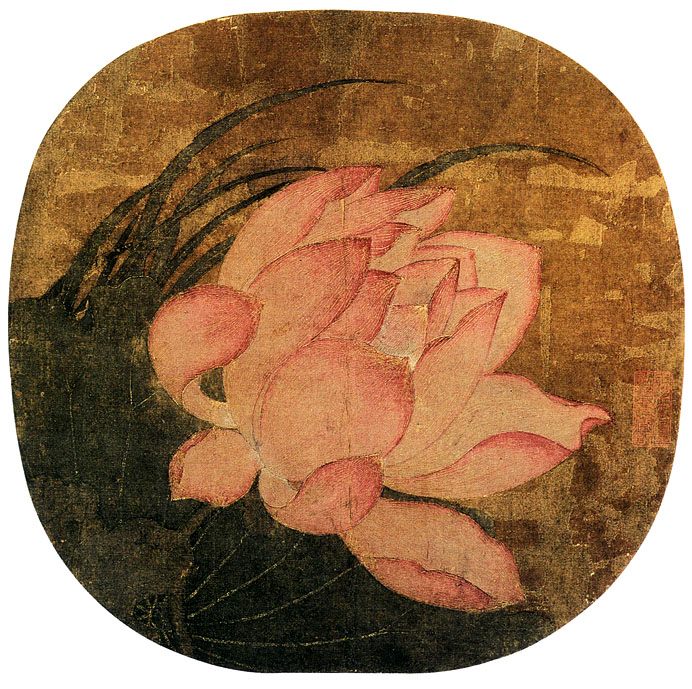 「转」这么美的荷花,千年荷韵