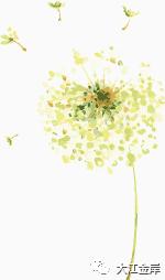 首届全国青少年校园足球明星联赛收官武汉六中位育中学荣获初中组冠军