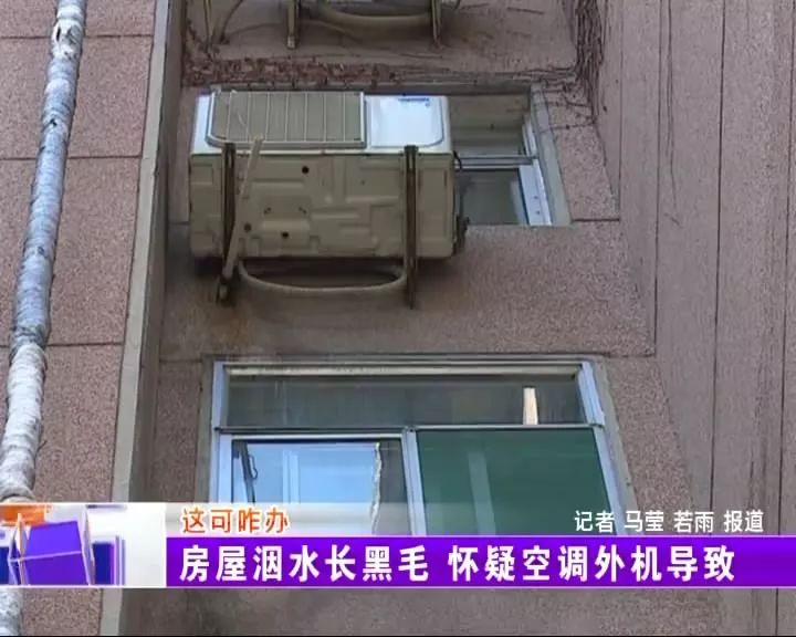 屋里长了白毛是怎么回事,屋里有黑毛是什么原因