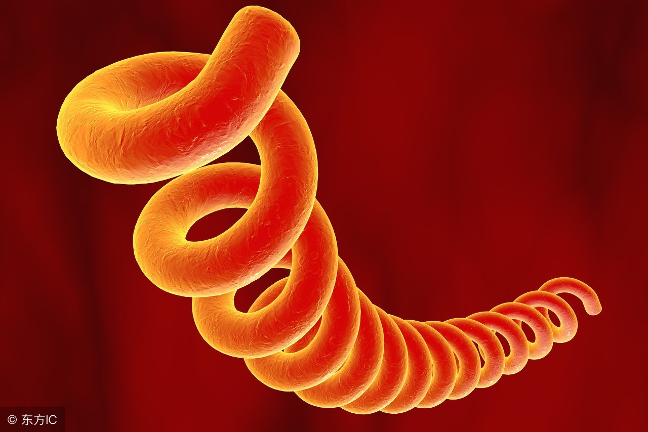 与别人握手竟染上梅毒？梅毒的感染方式有以下4种