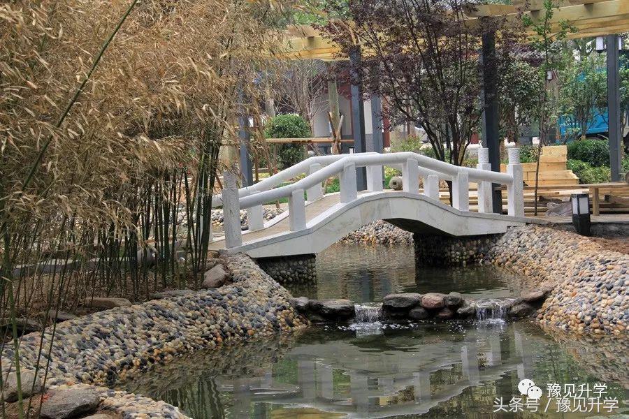 何为“中”文化生态校园？郑州高中名校系列：郑州市第九中学